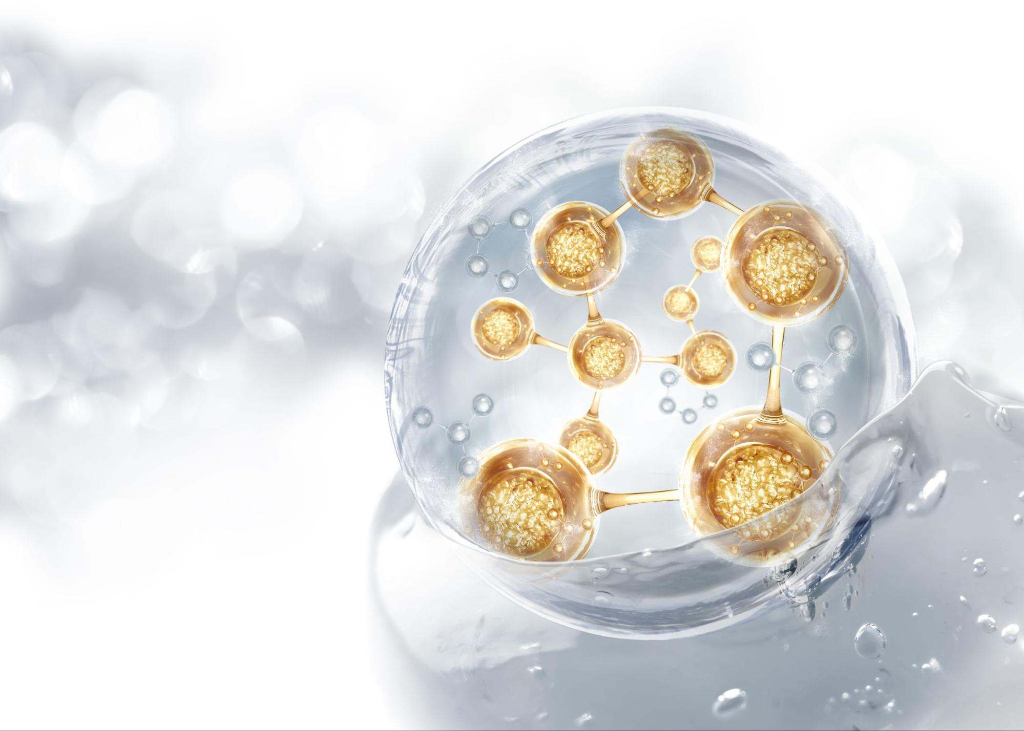 Stem Cell คืออะไร