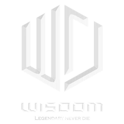 wisdom.webp